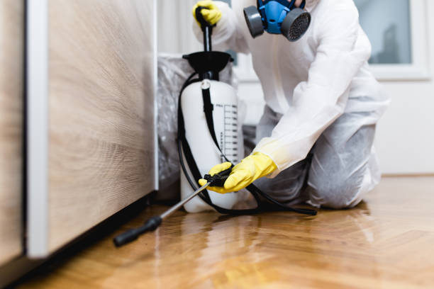Best Wasp Removal Services  in South St Paul, MN
