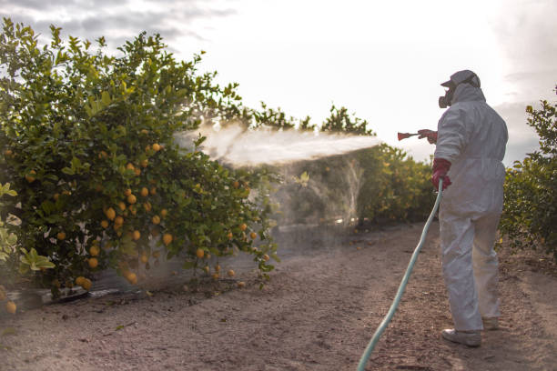 Best Emergency Pest Control  in South St Paul, MN