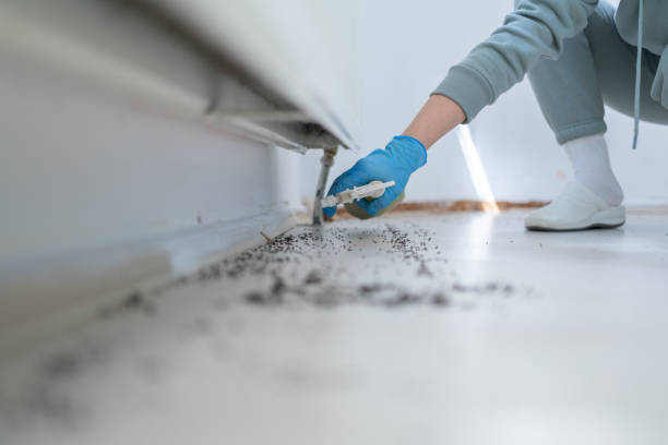 Best Pest Removal Services  in South St Paul, MN